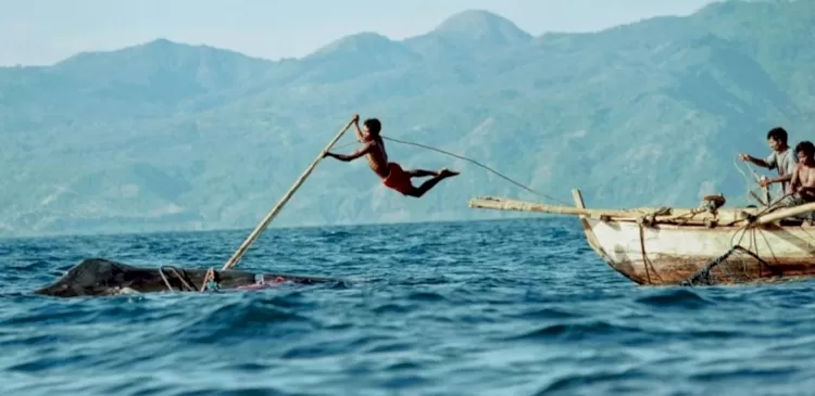 Tradisi Berburu Paus di Flores Timur, Warisan Leluhur yang Terus Bertahan